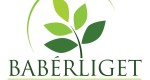 BaberLiget Altalanos Iskola BaberLiget Altalanos Iskola